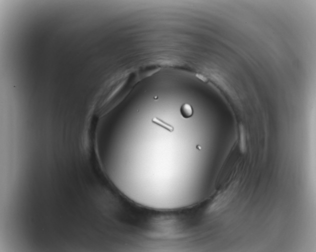 X0000089890252200707051233