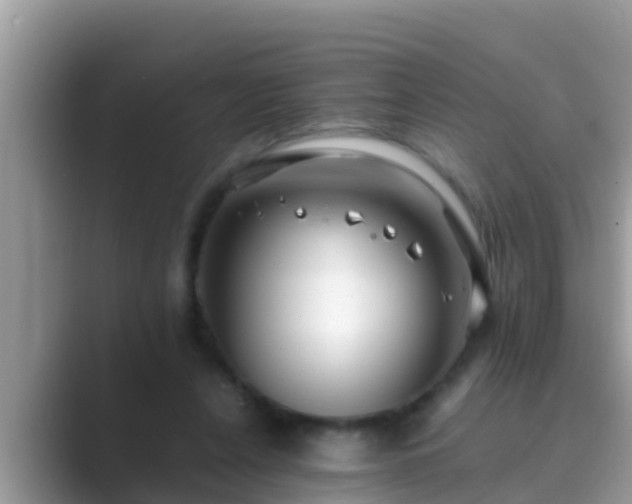 X0000089890256200707051234