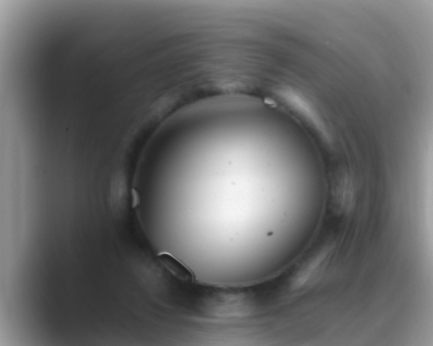 X0000089890260200707051234