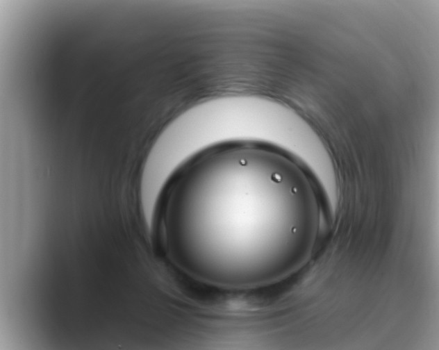 X0000089890264200707051234