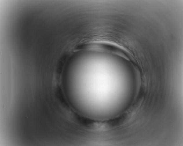 X0000089890272200707051234