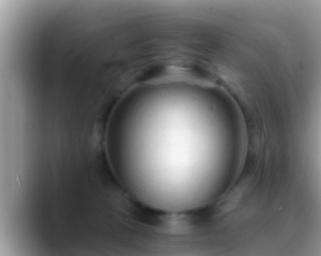 X0000089890273200707051234