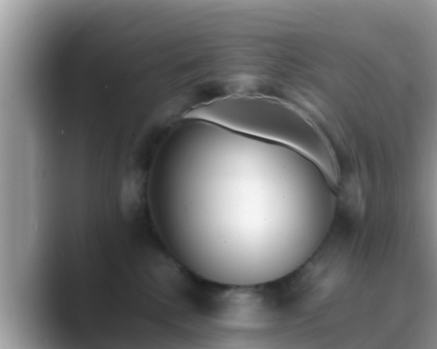 X0000089890280200707051234