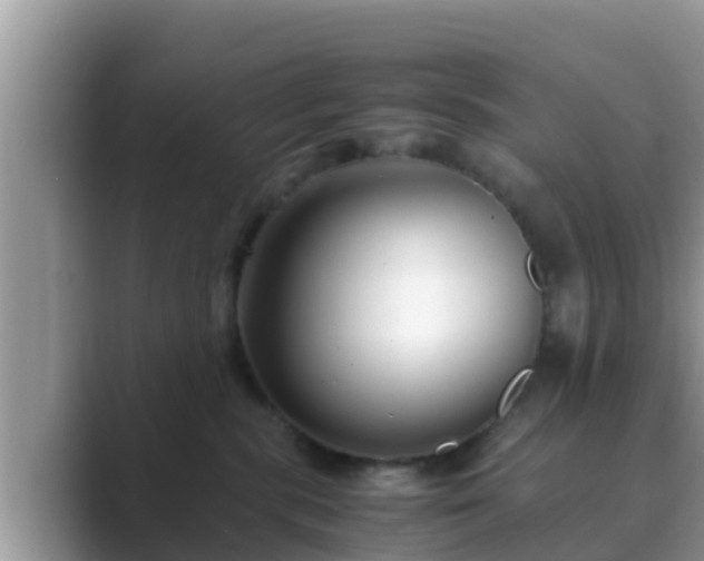 X0000089890283200707051234