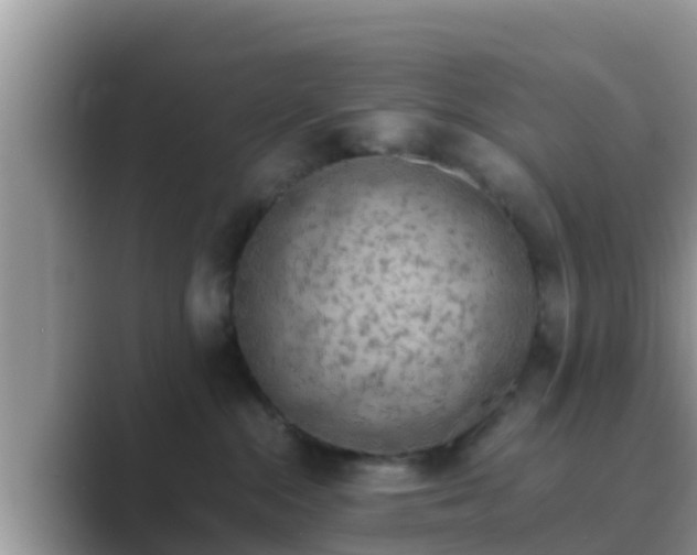 X0000089890284200707051234