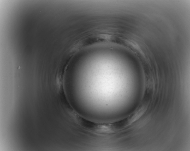 X0000089890285200707051234