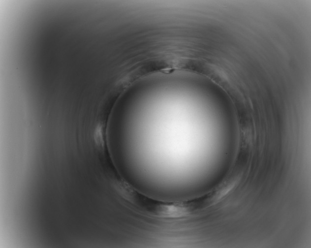 X0000089890286200707051234