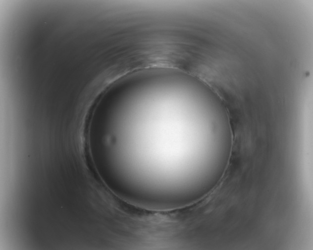 X0000089890290200707051233