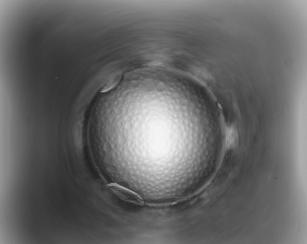 X0000089890291200707051233