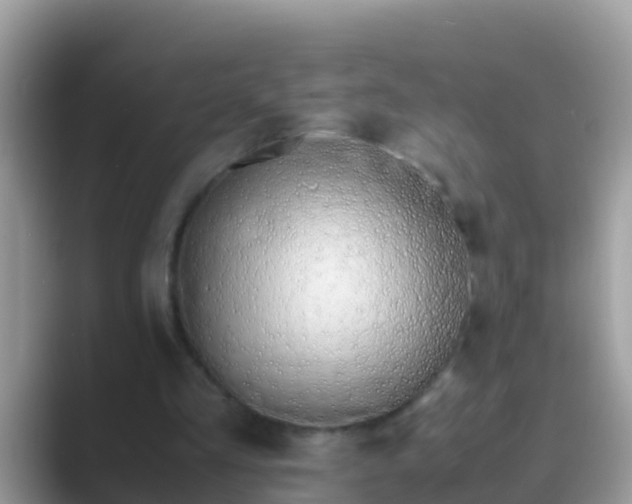 X0000089890293200707051233