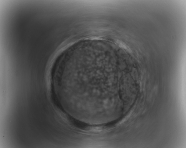 X0000089890295200707051233