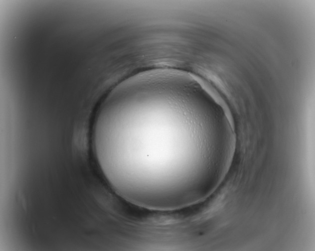 X0000089890299200707051233