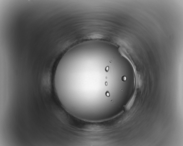 X0000089890300200707051233