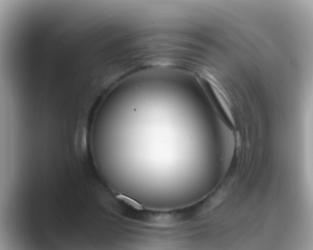 X0000089890301200707051233