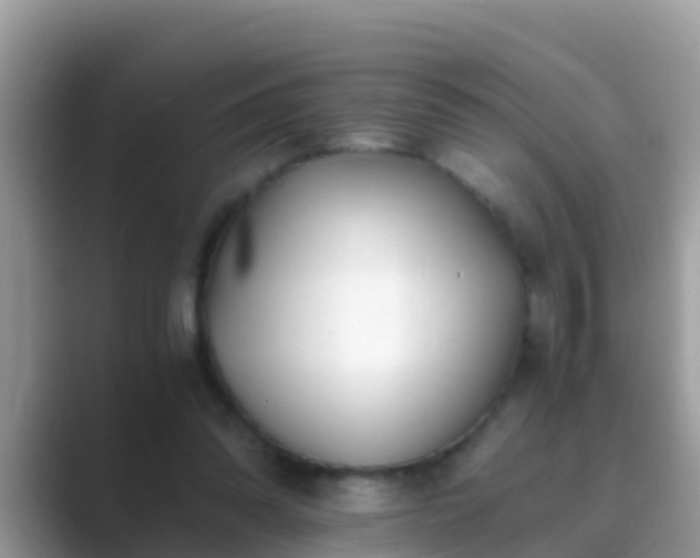 X0000089890302200707051233