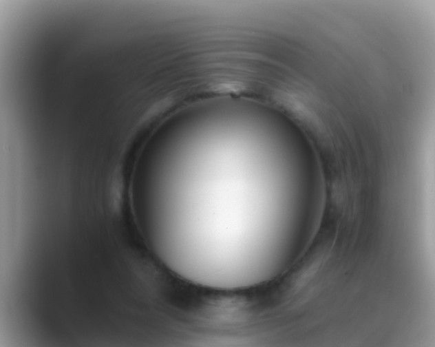 X0000089890304200707051233