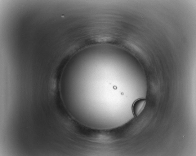 X0000089890308200707051233