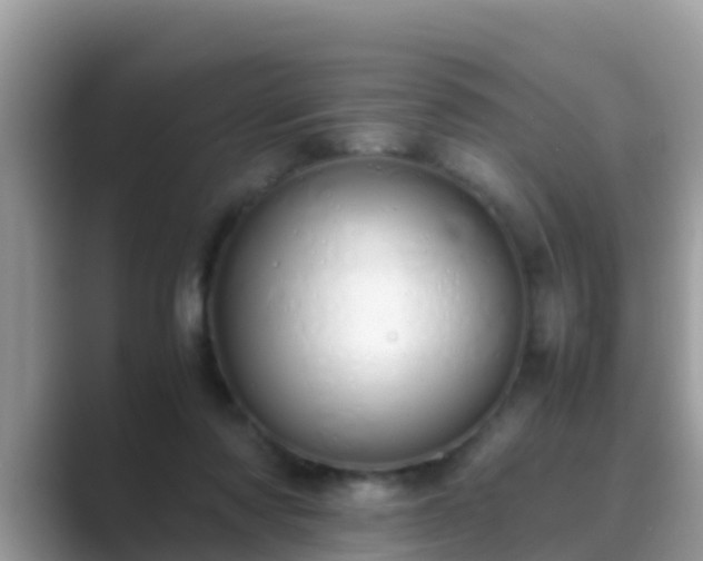 X0000089890310200707051233