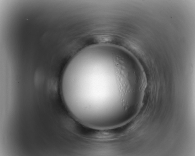 X0000089890315200707051233