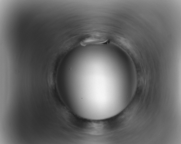 X0000089890317200707051233