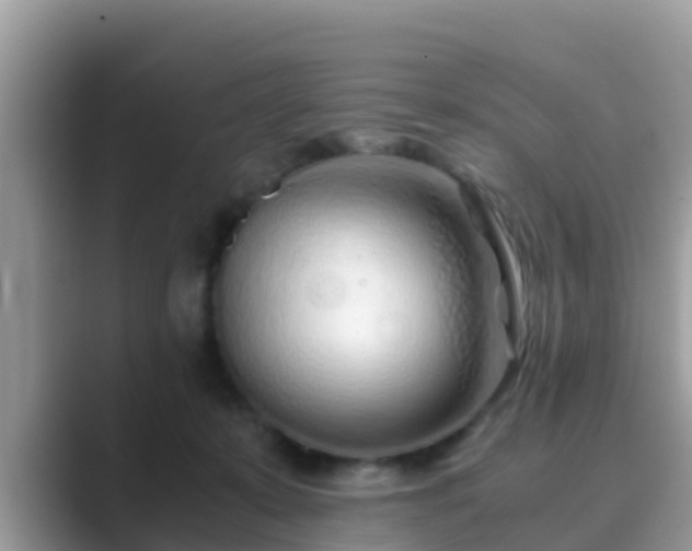 X0000089890319200707051233