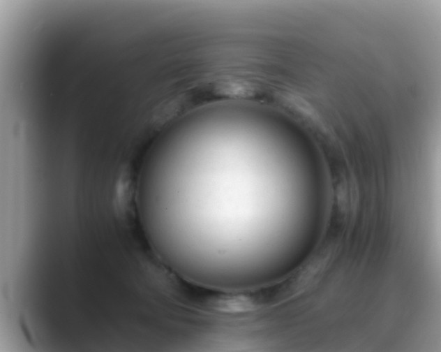 X0000089890322200707051233