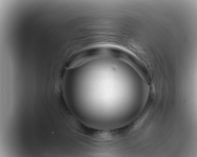 X0000089890325200707051233