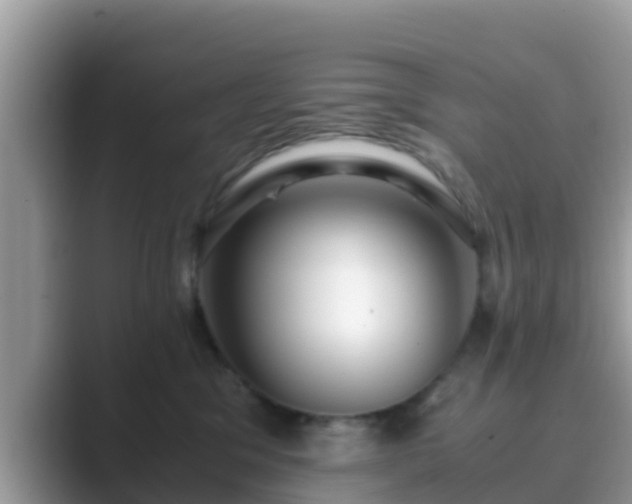 X0000089890329200707051233