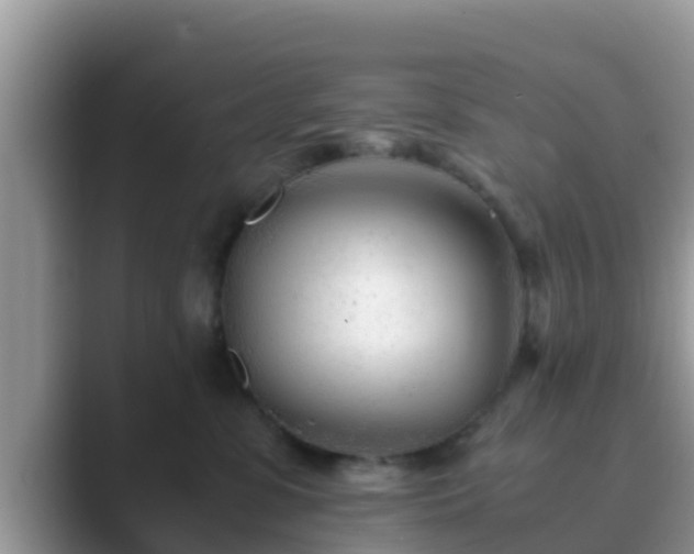 X0000089890331200707051233