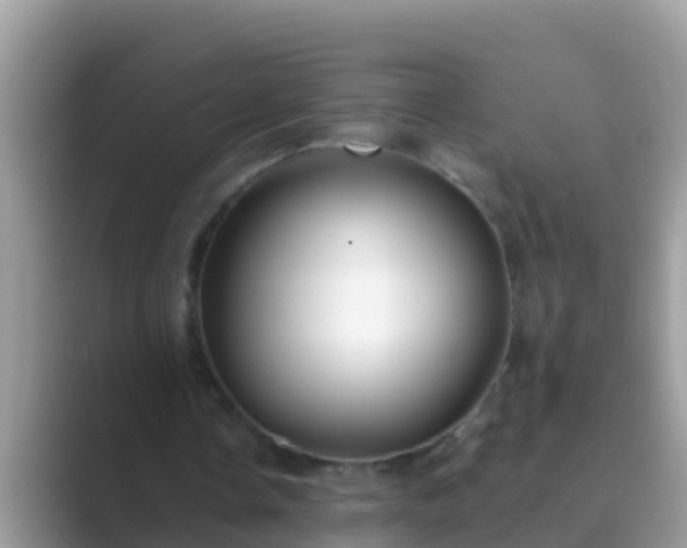 X0000089890338200707051232