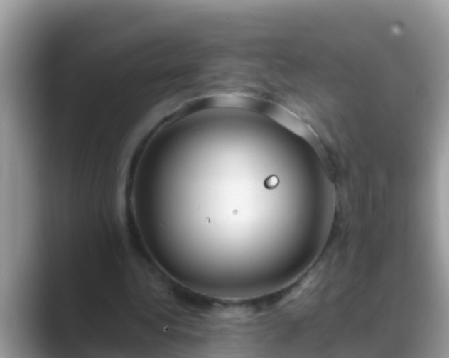 X0000089890340200707051232