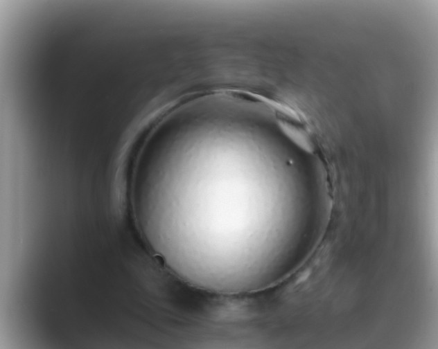 X0000089890343200707051232