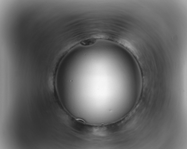 X0000089890345200707051232