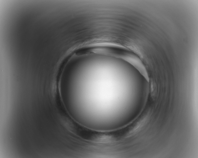 X0000089890348200707051232