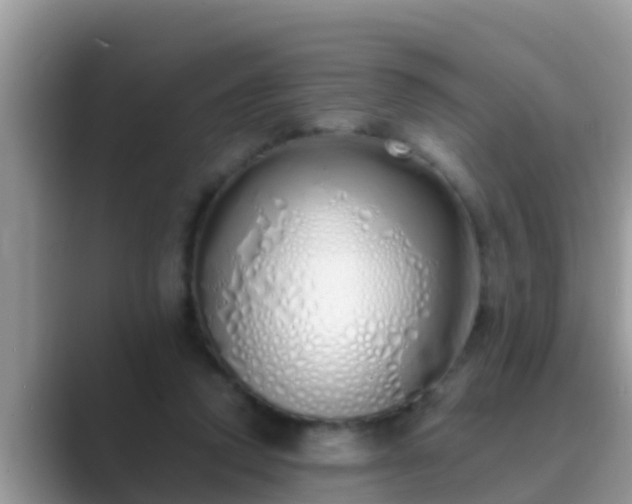 X0000089890354200707051232