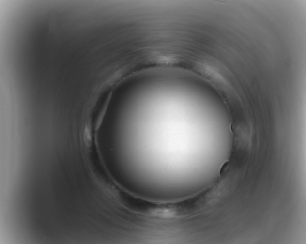 X0000089890358200707051232