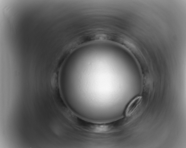 X0000089890361200707051232