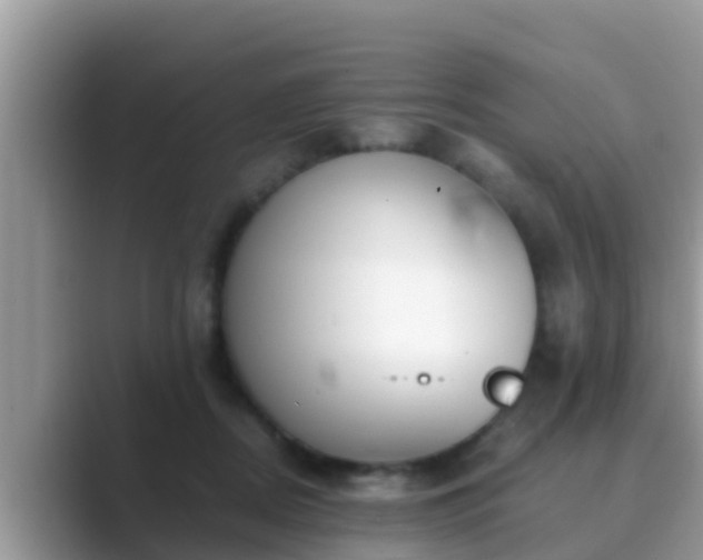 X0000089890362200707051233