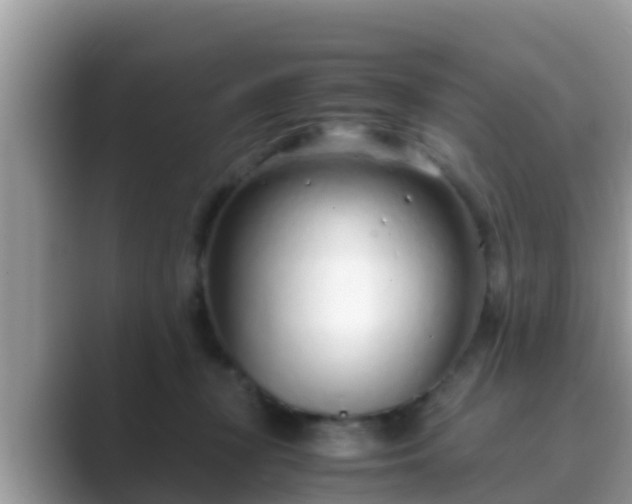 X0000089890367200707051233