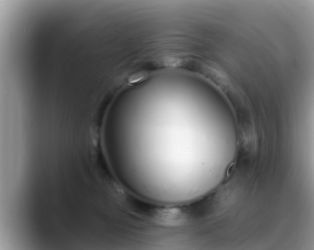 X0000089890374200707051233