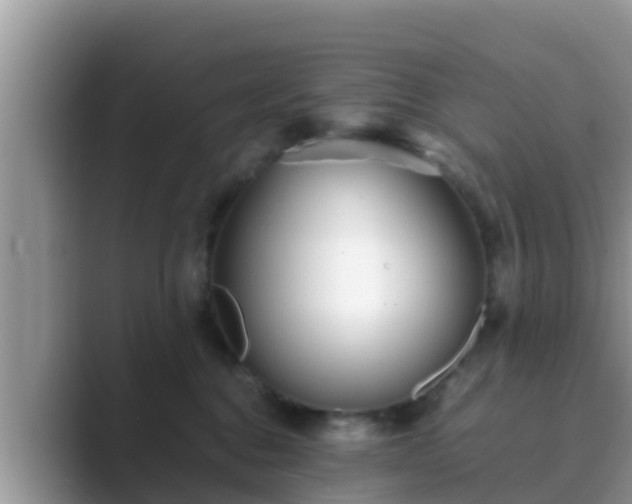 X0000089890376200707051233