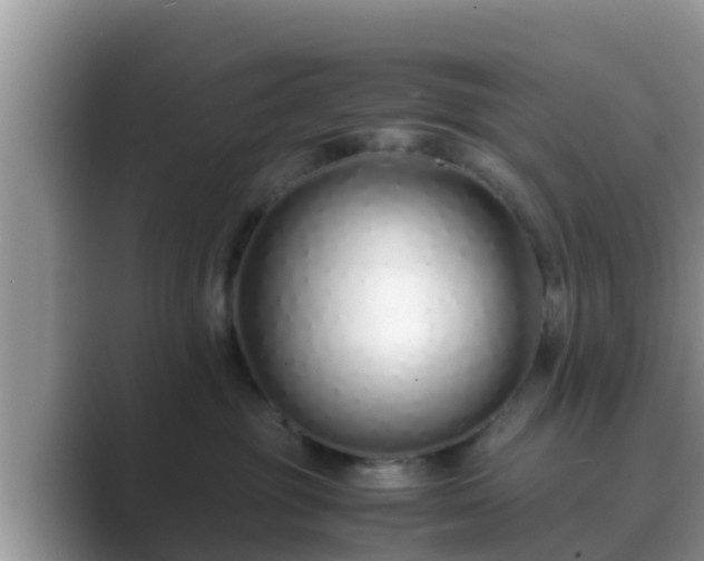 X0000089890381200707051233