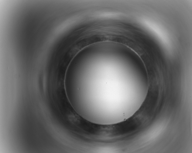 X0000089890382200707051233