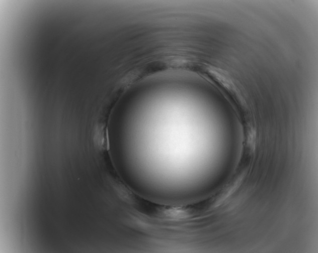 X0000089890383200707051233