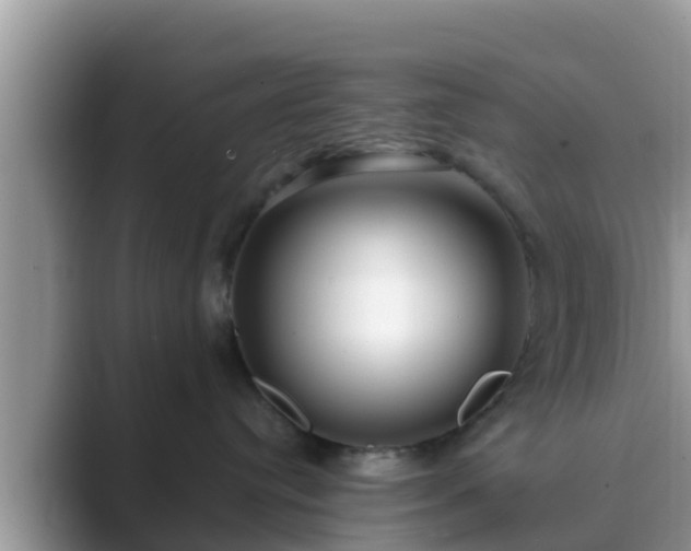 X0000089890384200707051233