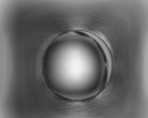 X0000089890385200707051232