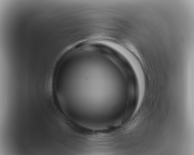 X0000089890387200707051232