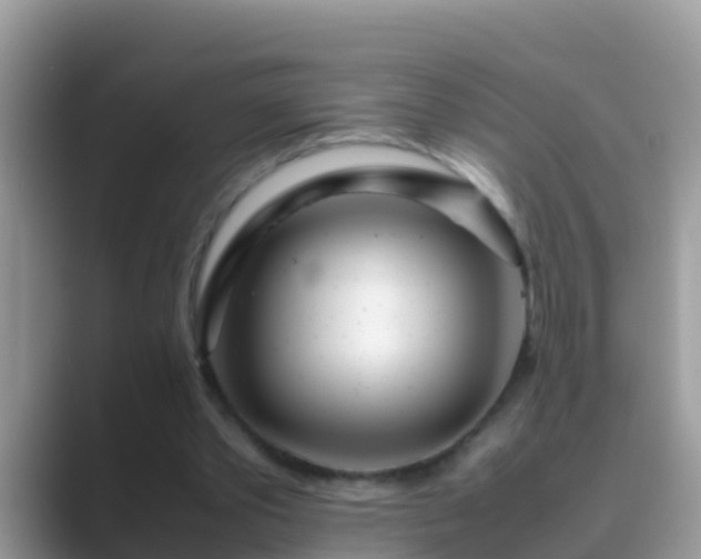 X0000089890389200707051232