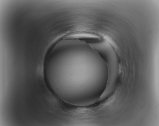 X0000089890391200707051232