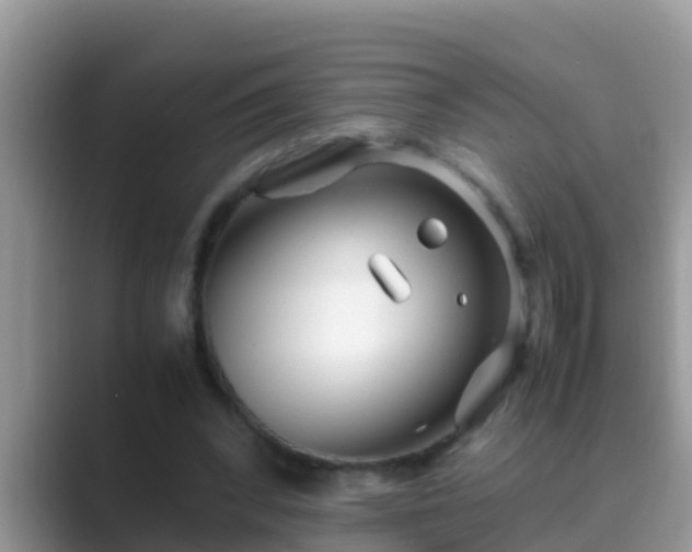 X0000089890392200707051232